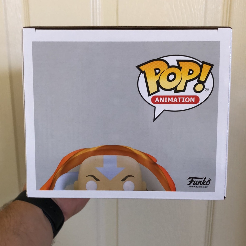 Avatar The Last Airbender Funko Pop - Picture 6 of 7